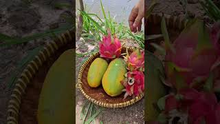 Panen 3 Macam Buah Segar dipekarangan Rumah. #youtubeshorts #fruit #buahbuahansegar #fyp #fypシ゚viral