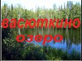 Васюткино озеро-Краткое содержание рассказа