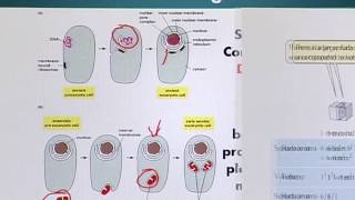 BIO734_Topic092