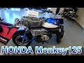HONDA　Monkey125　ABS Pearl glitter ring blue