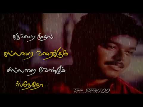 sariya-thappa-|-song-|-lyrics-status-|-nenjinile