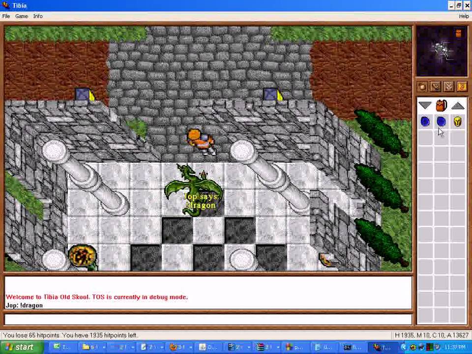 Мелкий 6 игра. Tibia game. Old School Tibia. Tibia история двух мальчиков. Тибия java.