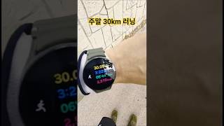 주말 LSD 30km 러닝