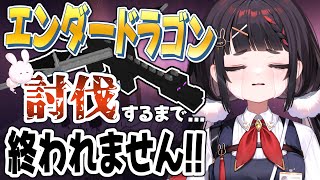 【Minecraft】エンダードラゴン討伐耐久‼【#ぶいぱい /やまだなのだ】