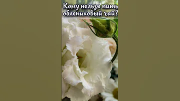Кому нельзя пить облепиховый чай?