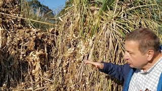 Why Do You Need Leather Pants