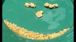 Rich Gold Paydirt - Found on Our Claims | ask Jeff Williams
