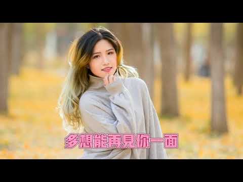 《多想你還能在我身邊》陳曉韓