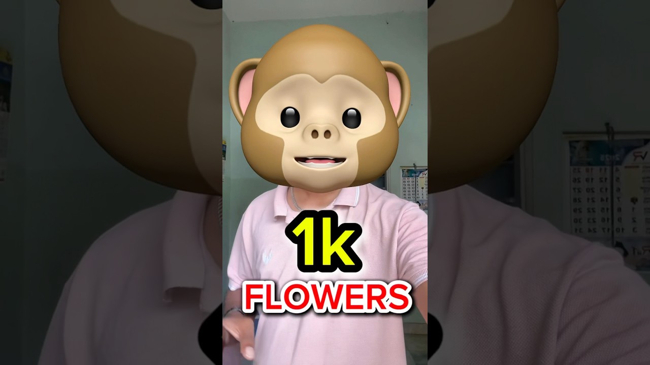 how to increase instagram followers in telugu || #telugu #telugutech #howtoincreaseviews #instalikes