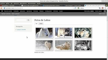 Crear una galeria en Drupal 7 con CSS