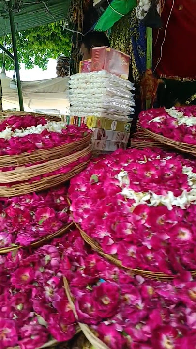 Ajmer Walon Khwaja se kehdo qawwali || Ajmer Sharif Dargah ❤️ Khwaja Garib Nawaz #dargah #khwaza