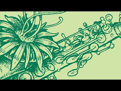 Putar Paseo - Blundetto