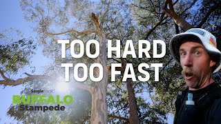 Buffalo Stampede Marathon 2024 Too Hard Too Fast