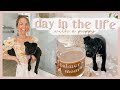 DAY IN THE LIFE WITH A PUPPY | activity ideas, fun dog snacks, & training! 🐾