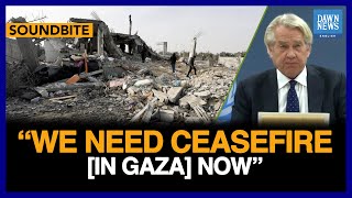 We Need Ceasefire [In Gaza] Now, Stresses UN Special Coordinator | Dawn News English