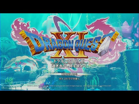 【DQ11s】セーニャ単騎で失われし時の災厄＆怨念を倒しに行く - YouTube