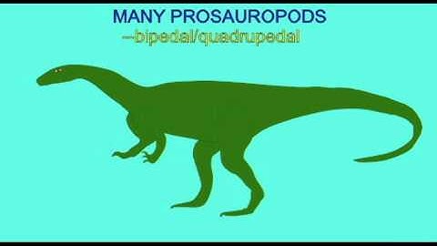 PL EXAM 2: TRANSITIONAL FOSSILS OF PROSAUROPODS.avi