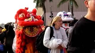 2013香港龍獅節 - 龍獅巡遊 20130101 - 3