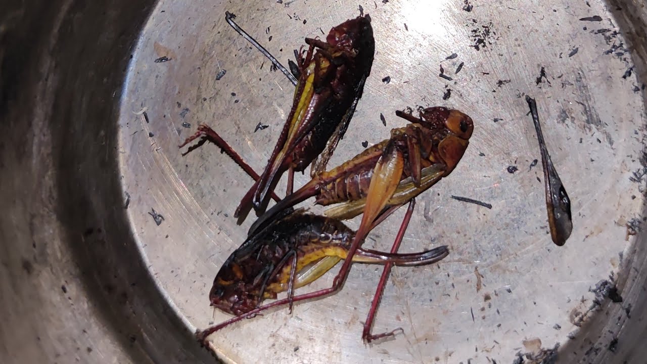 Noc v lese bez vody a jedla