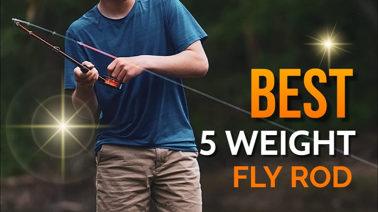 The 7 Best 5 Weight Fly Rod [2022 Buyer's Guide] 