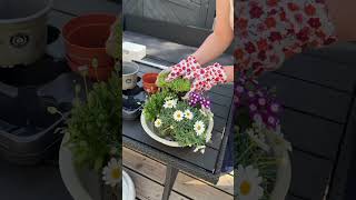 Duimen dat de bloemetjes mij overleven 🤭🌸