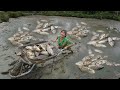 Wild Fishing Life - Catch Many Of Fishing In Dry Mud Pond, Fising Exciting