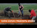 Разграбили и уничтожили. Черные археологи перекопали под Николаевом национальный памятник