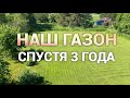 Что стало с нашим газоном спустя три года. Просто Константиновы.