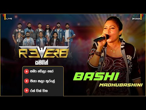 BHASHI MADHUBASHINI භ ශ මධ භ ෂ න I BANDARAGAMA REVERB LIVE BAND I 2025