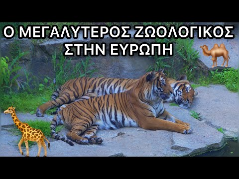 Βίντεο: Ζωολογικός κήπος της νέας γενιάς