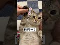 猫の指の本数