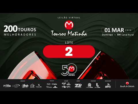Lote 02 B1508 Matinha