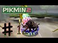 ALTRI TESORI IN SUPERFICE ALLA SORGENTE SCONCERTANTE - PIKMIN 2 E12