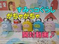 すみっコぐらし【ガチャ】きょうりゅうなりきり 南京錠 開封