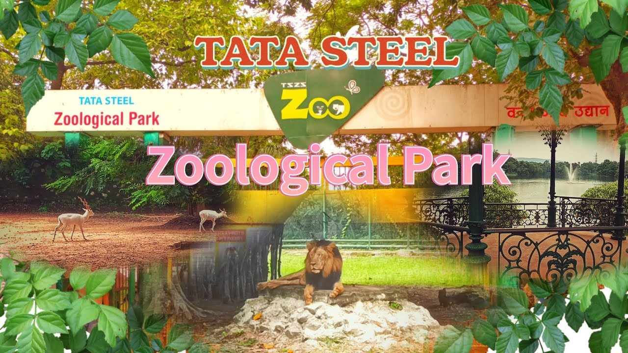 Zoological Park Tata Steel ☆☆Jamshedpur☆☆.... YouTube