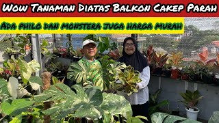 WAHHH TANAMAN DIATAS BALKON DISINI CAKEP CAKEP ⁉️ADA PHILO DAN MONSTERA JUGA HARGA MURCEE