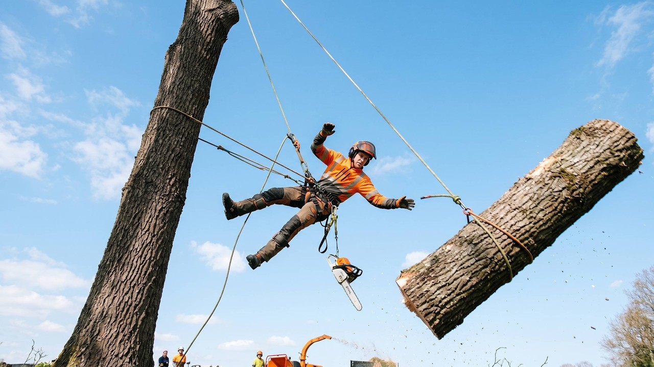 Timber Fail Best Timber Work Failures Compilation | Chainsaw Mistakes & Logging ...