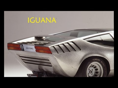 amazing...1969-alfa-romeo-iguana