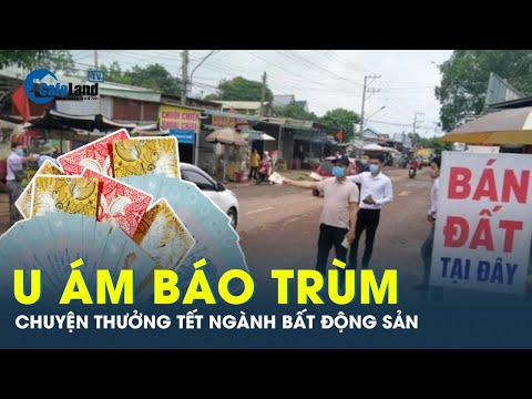 Mong gì thưởng Tết trong ngành bất động sản khi lo vỡ nợ, trụ lại được còn khó | CafeLand 2023 mới nhất