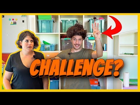 CHALLENGE Nedir?