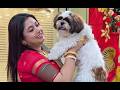 Rajlakshmi's Collection||latest collection of designer sarees online| Booking number-8101954367