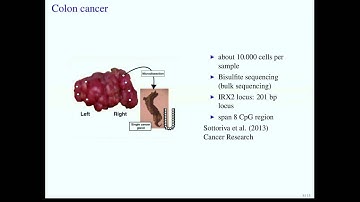 BitPhylogeny: A Probabilistic Framework for Reconstructing Intra-tumor Phylogenies