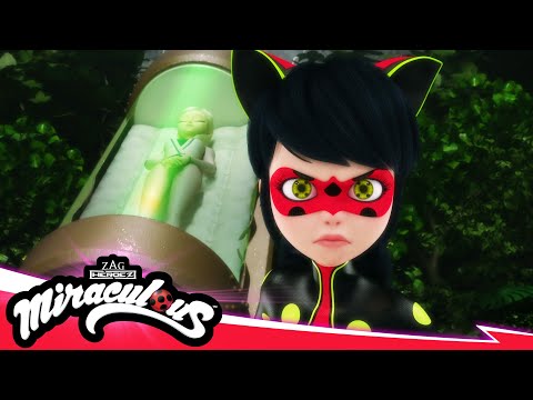 Miraculous | Recreation - Akumatized | Season 5 | Tales Of Ladybug x Cat Noir