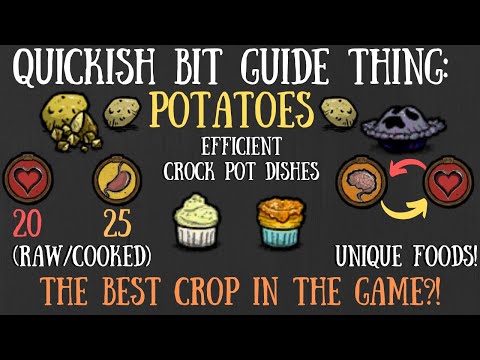 don't-starve-together-quick-bit:-potatoes