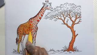 Coloring a Cute Giraffe & Tree | Relaxing Coloring Video