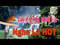 Luyện choè lửa hót giọng rừng hay, kích choè lửa Nghe là HÓT