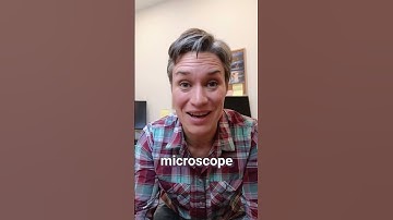 Special phone case and microscope adapter for microscopic photography with your phone #shorts