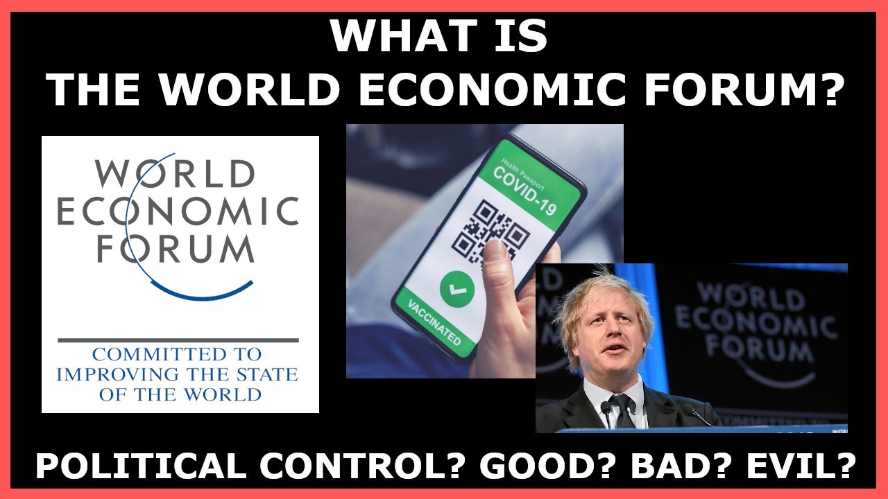 COVID & Political Control - What Is The World Economic Forum? - Part 1 ...