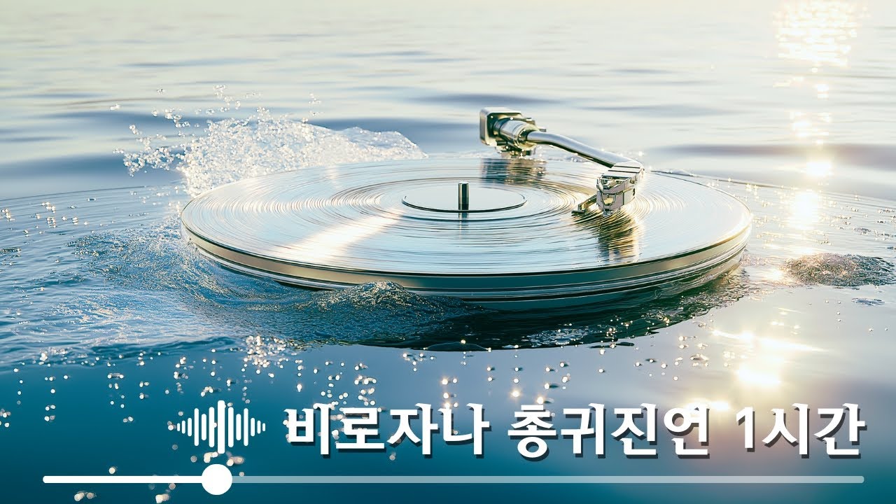 불(佛)빛사운드 - 비로자나 총귀진언 | 찬불가 (60min Remix) #불교음악