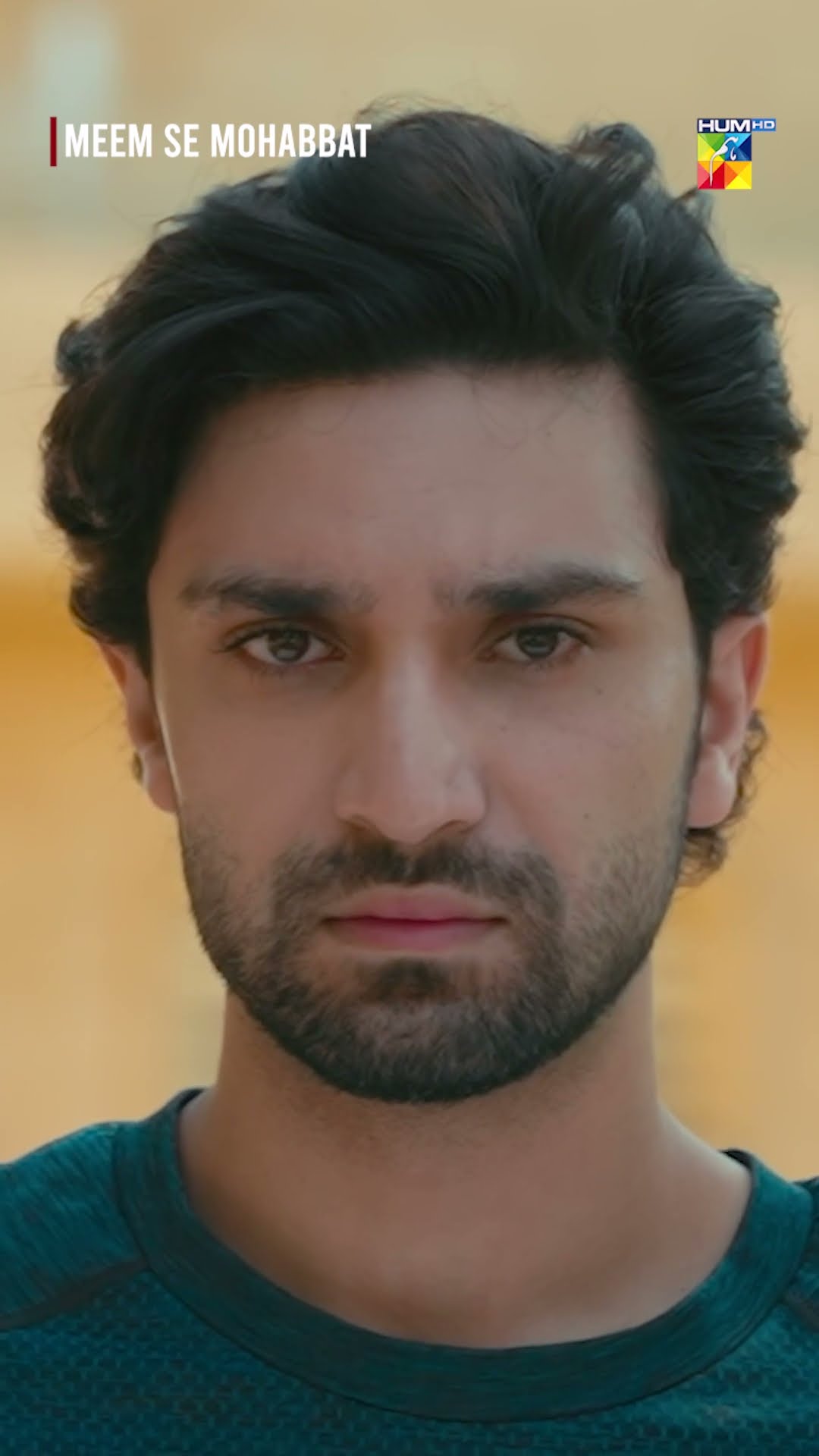 Mazi Mein Kiya Hadsa Hua Tha...? #dananeer #ahadrazamir #meemsemohabbat #shortsfeed